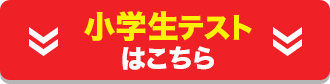 小学生テスト